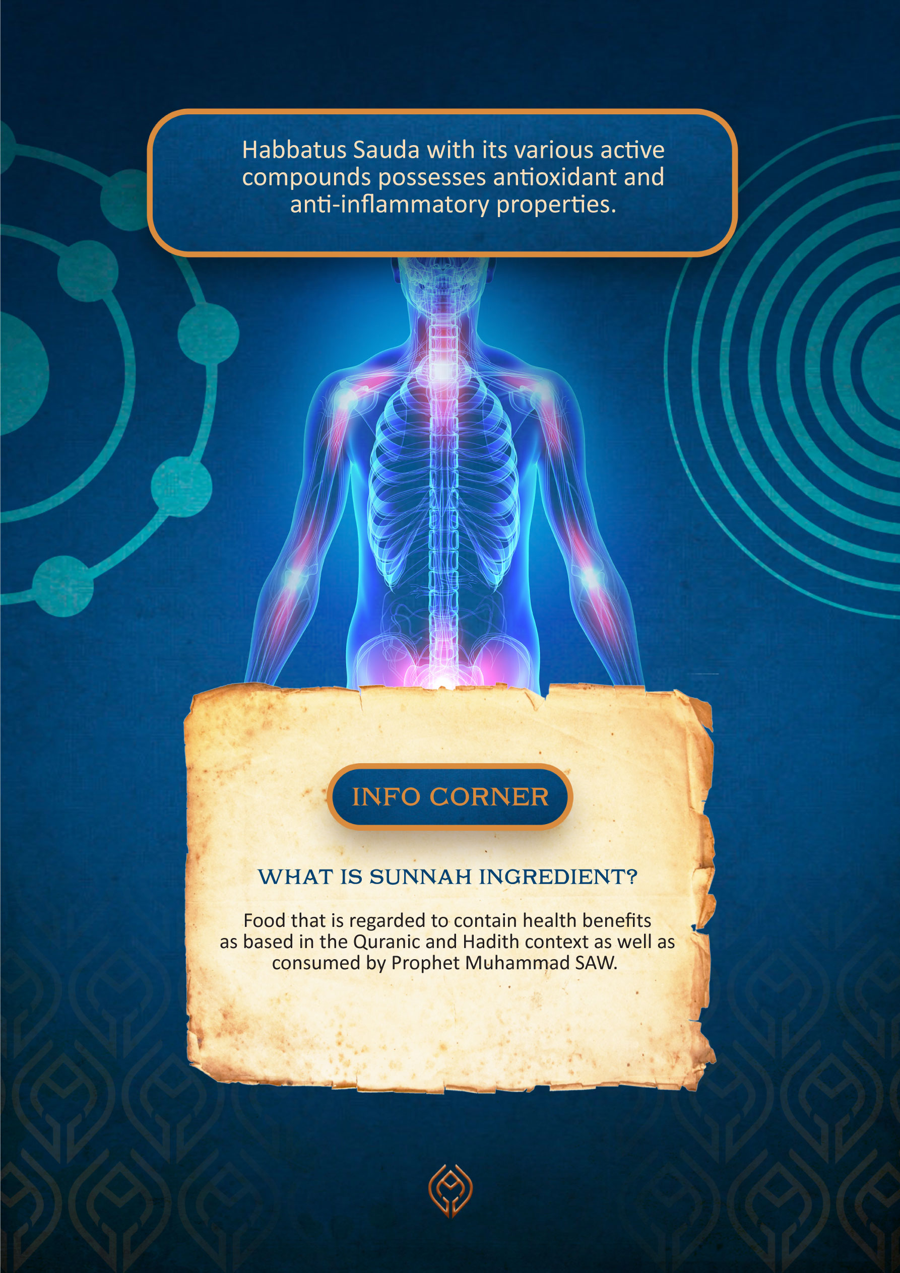 Hayyiba- SOD extramel pine bark extract - a powerful antioxidant extracted from bark of pinus radiata in new zealand  