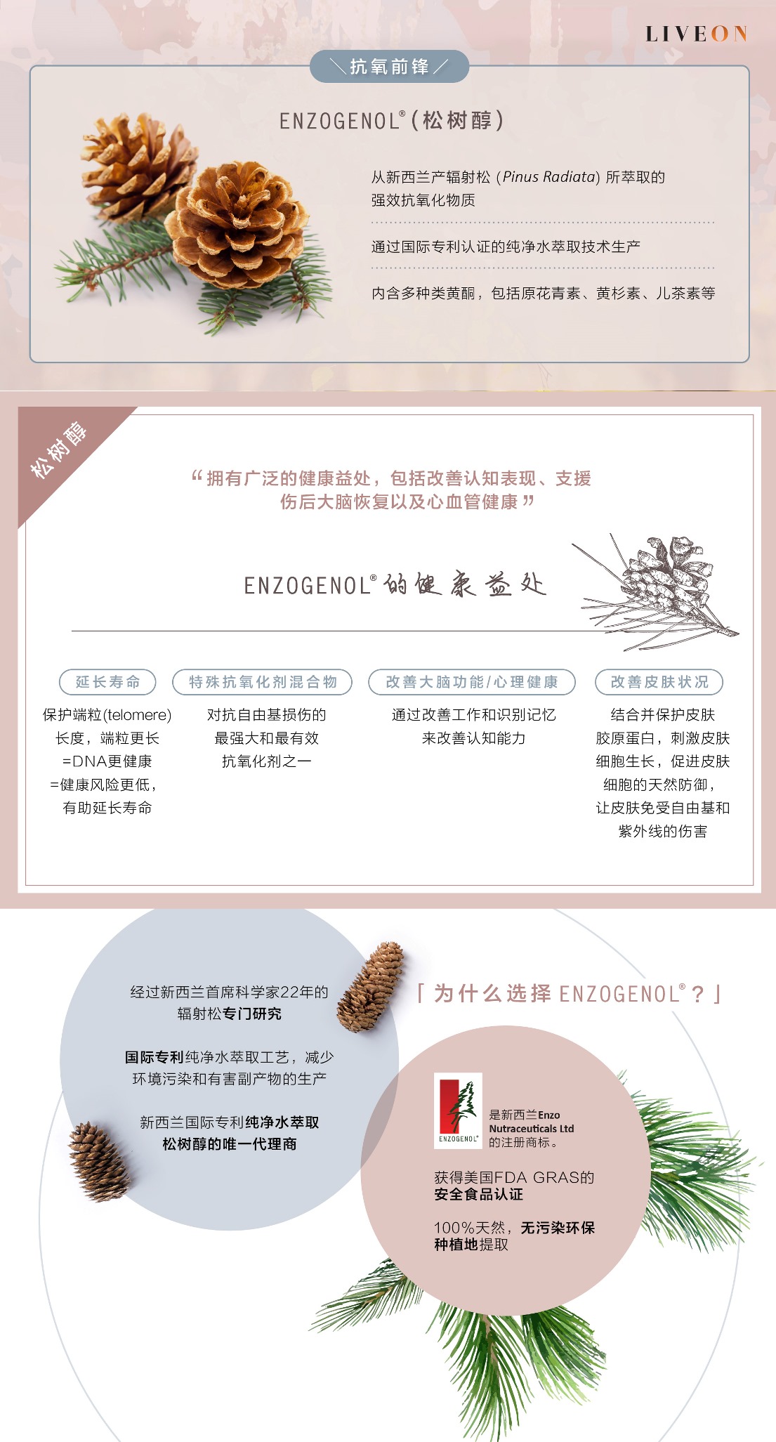 LIVEON逆龄抗糖饮- SOD extramel pine bark extract - a powerful antioxidant extracted from bark of pinus radiata in new zealand  