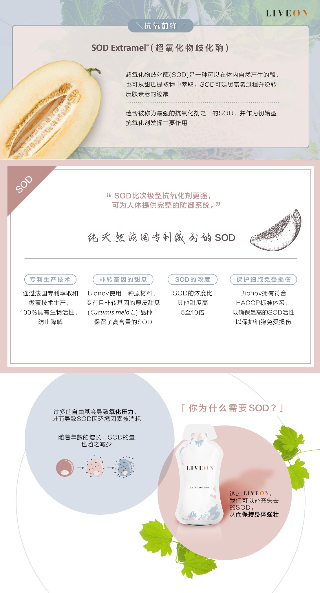 LIVEON逆龄抗糖饮- SOD extramel free radicals oxidative stress 