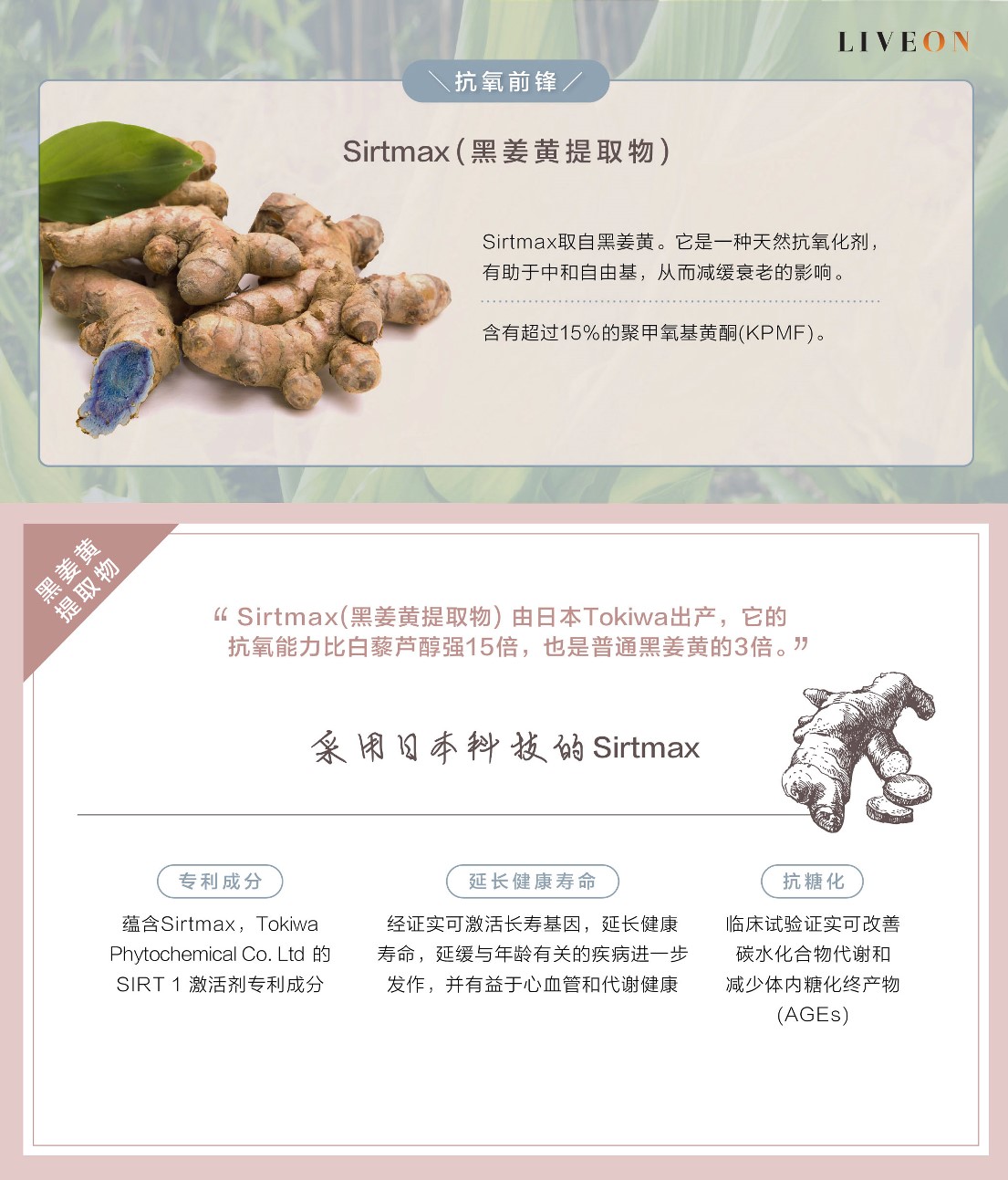 LIVEON逆龄抗糖饮- Sirtmas (black turmeric extract) the anitoxidant frontliner  