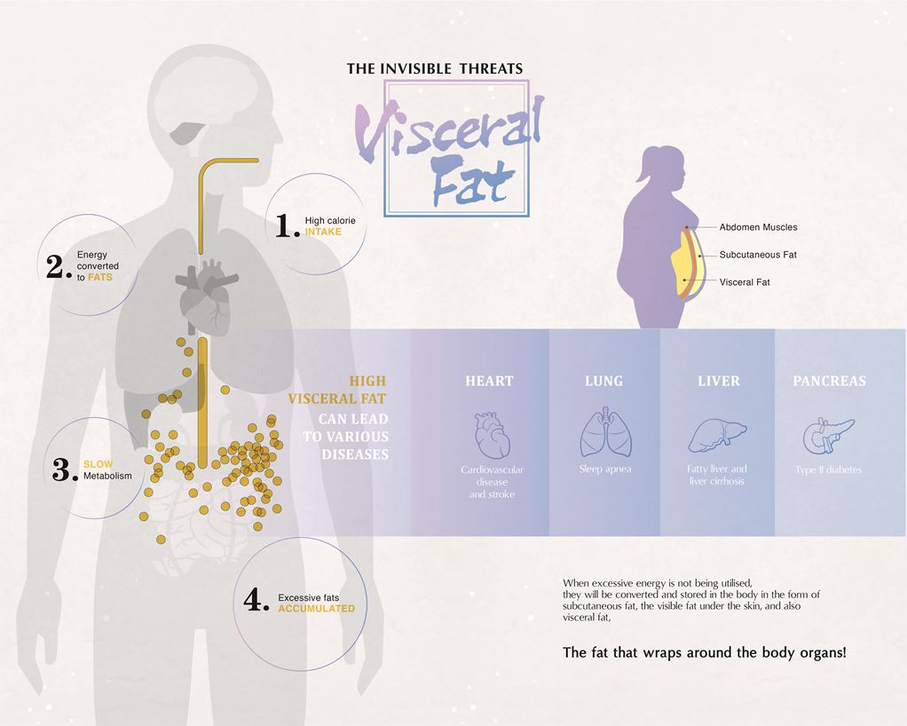 Wellous Zenso Wellnessmall Malaysia Signgapore